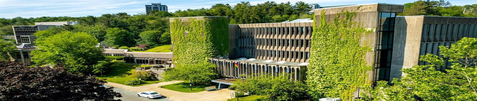 MOUNT SAINT VINCENT UNIVERSITY